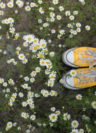youth rag yellow sneakers among flowers of forest daisies. walk in pleasure, harmony, energy of...