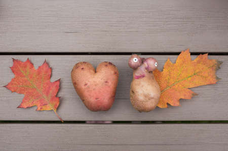 Two non-standard potatoes in the shape of a heart and in the form of a funny ugly head and orange...