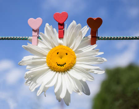 chamomile flower with smile pinned on rope with clothespins in shape of heart against sky. Greeting card with love for birthday, mother's day. concept of positivity, peace, love, happiness and joyの写真素材