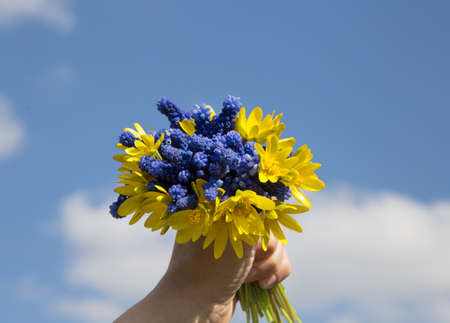 hand holds a bouquet of blue and yellow flowers against the sky. Stand with Ukraine. Gratitude for world support for Ukraine. stop the warの写真素材