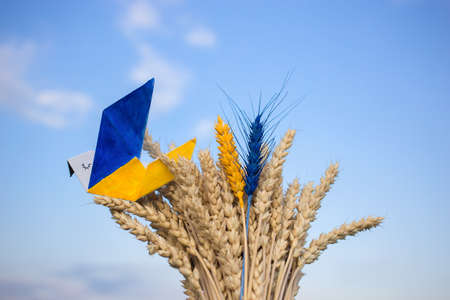 paper dove of peace, whose wings are painted in yellow-blue colors of Ukrainian flag, sits on bouquet of dry ripe spikelets of wheat against sky. Support Ukraine. Stop war in Ukraine. peace conceptの写真素材
