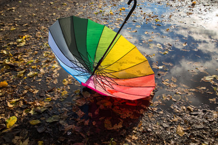 multi-colored umbrella of rainbow colors lies in a puddle strewn with autumn leaves on an asphalt road. autumn atmosphere. symbol of the rainy season, bad wet windy weatherの写真素材