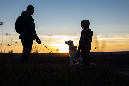 silhouette of a man, a child and a dog walking in a field at sunset, relaxing with a pet in nature. concept of outdoor activities, happy pastime of dad and son, friendship with animalsの写真素材