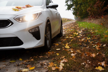white car on a dirt road strewn with fallen yellow, orange, brown leaves on a cloudy autumn day in the park. Romantic weekend car tripの写真素材