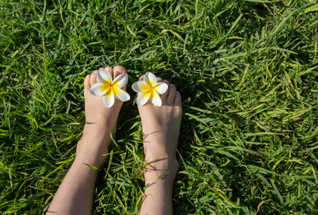 child's bare feet lie on a green lawn, two plumeria flowers between the toes. joy, cheerful positive atmosphere, happy childhood, rest. hello summer. the energy of nature. earth dayの写真素材