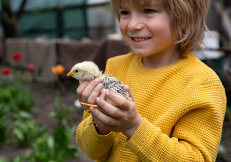 boy on the farm holds a small chicken in his arms. Surprise, joy from communication with small...