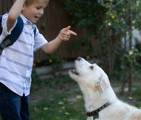6-year-old boy plays cheerfully with his white dog, teaches his beloved pet commands. The joy of communication between a child and an animal, pleasant leisure in the company of a four-legged friendの写真素材