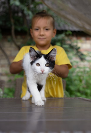 cute black and white kitten is walking on the table, a boy is holding him from behind. Happy childhood, play with your favorite pet. A moment of joy and happiness from interaction with the animalの写真素材