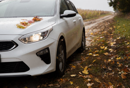 white auto on a dirt road strewn with fallen leaves on a cloudy autumn day. Romantic weekend car trip. forward to adventure. Traveling by carの写真素材