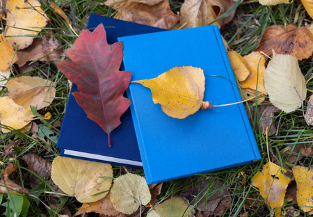 Hello Autumn. Love autumn and reading books. back to school. education conceptの写真素材