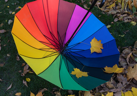 multi-colored umbrella of rainbow colors upside down lies on the grass strewn with autumn leaves. autumn atmosphere. symbol of the rainy season, bad wet windy weatherの写真素材