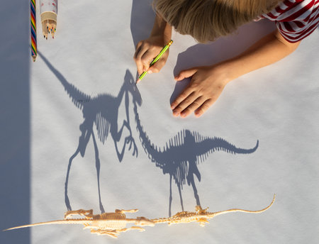 child traces with a pencil contrasting shadows from toy dinosaurs. drawing of a preschooler, primary school student, creative ideas for children's creativity. Interesting activities for childrenの写真素材