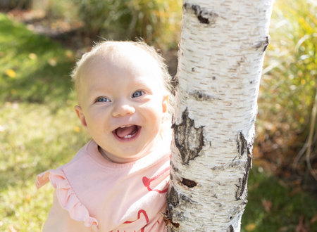 Portrait of the face of a joyful cute girl 6-9 months old on a sunny day near a birch tree. Blue eyes, 4 teeth visible from a laughing mouthの写真素材