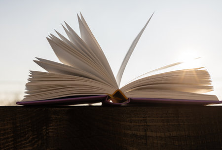 book, sun rays through open pages. Rest and reading. Read the book with pleasure. Educational concept. it's time to read. Digital detoxの写真素材