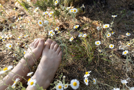 bare feet of a child among blooming wild daisies. joy, relaxation, positive, happy childhood. Sunny summer day. Hello summer, energy of nature. Earth Day. selective focus. view from aboveの写真素材