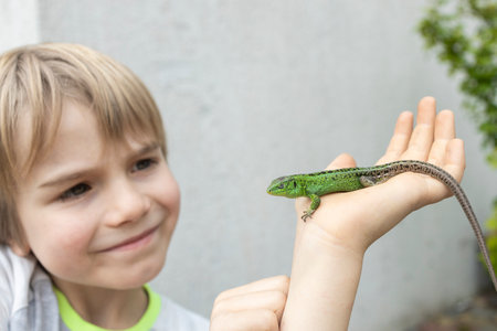child holds green lizard on his palm and looks at it with interest. boy is looking for interesting representatives of the fauna, studying the animal world of nature. hobby of reptiles and zoologyの写真素材