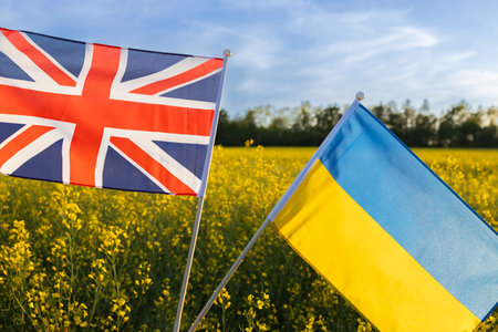 flags of Ukraine and Great Britain against the background of a blooming rapeseed field and blue skyの写真素材
