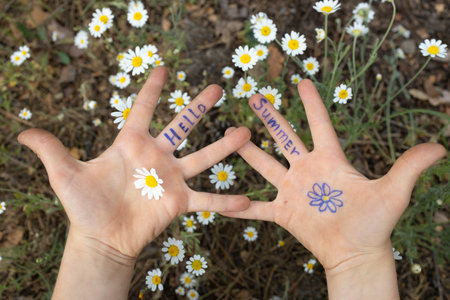 children's hands with the inscription Hello Summer written on fingers against backdrop of chamomile meadow. joy, hello holidays, relaxation, pampering, positive, cheerful childhood. energy of natureの写真素材