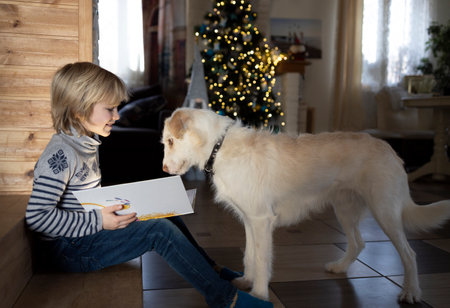 joyful boy in a sweater and jeans and a white dog opposite in a room at home in front of a Christmas...