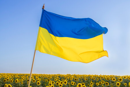 Ukrainian yellow-blue flag in front of a blooming field of sunflowers. National symbol of freedom. hope and faith in victory. Independence Day. Stop the warの写真素材