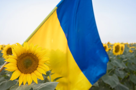 sunflower flower in foreground, behind it Ukrainian yellow-blue flag is out of focus. Stop war in...