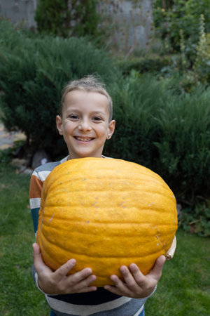 Portrait of a joyful boy 8 years old with a large orange pumpkin in his hands. Preparing for Halloween. Harvest, little helper. autumnの写真素材