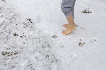 Feet of a child walking barefoot on freshly fallen snow. Healthy lifestyle concept. Harden yourself and increase your immunity during the winter season. Copy spaceの写真素材