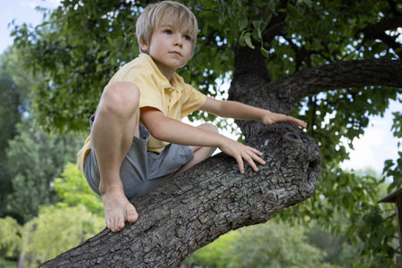 boy plays on a summer day in the garden, climbed onto a tree trunk. Happy risky childhood, playful mood. Summer fun outdoorsの写真素材