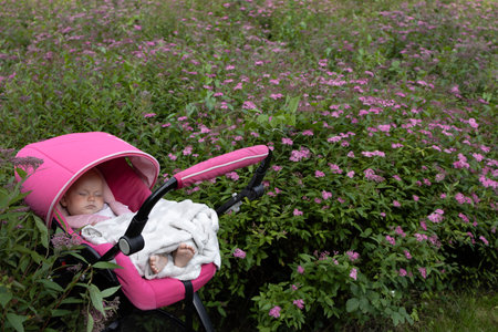 pink stroller with a baby sleeping in it during a walk in the park among pink blooming flowers. children's nap in the fresh air, healthy lifestyleの写真素材