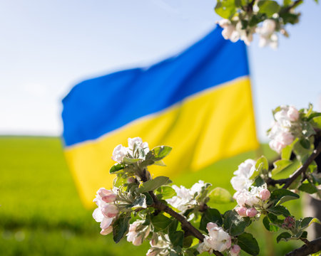 The flag is out of focus, with a blooming spring tree in the foreground. sun and green grass on the background.の写真素材