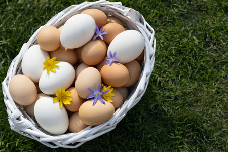 Preparation for Easter. A lot of white and beige fresh chicken eggs are collected in a white basket...