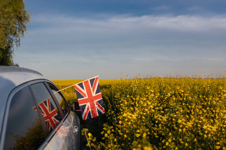 Traveling around Europe by car, the flag sticking out of the window. car drives along a blooming yellow rapeseed field on a sunny day. The national symbol of freedom and unity.の写真素材