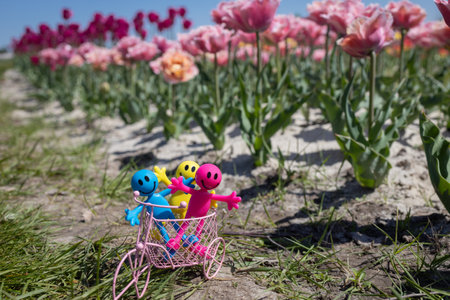 Pink bicycle and miniature toy happy doll in a basket on the background of blooming tulips. Atmosphere of positivity and joy.の写真素材