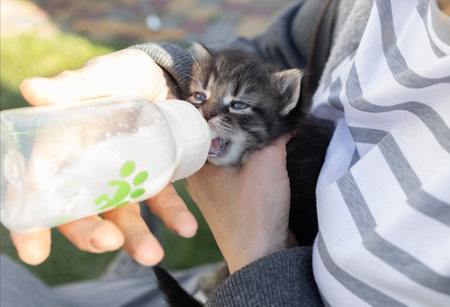 Rescue tiny kitten, hand feed milk from bottle. Small pet on artificial feeding, rescue concepts. Animal careの写真素材
