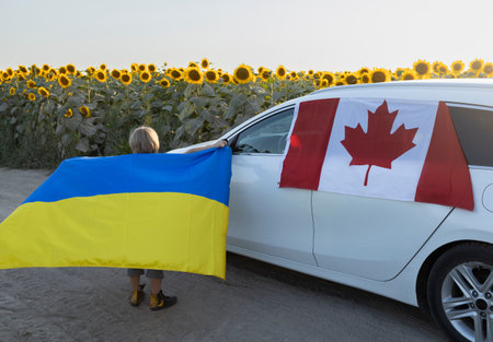 child with Ukrainian flag stands near car with Canadian flag on background of blooming sunflower field. International support and assistance to Ukraine. refugee problems and assistance to immigrantsの写真素材