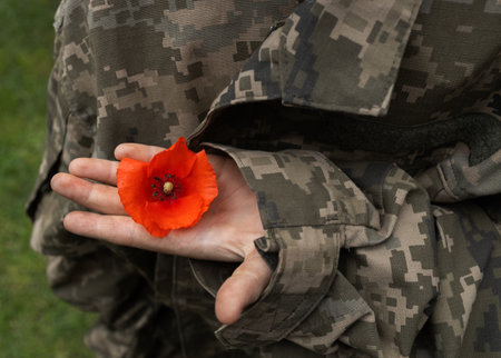 Wild red poppy flower on the palm of a man dressed in military uniform. Symbol of memory of soldiers who died in the war. Victory and Remembrance Day. Support Ukraine in the war.の写真素材