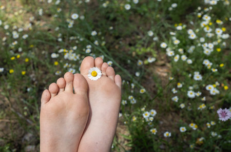 Bare feet among a field of wild daisies. Be positive and active. Summer carefree mood, barefoot walks. Hello, summer, energy of nature. Copy spaceの写真素材
