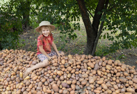 boy of 7-8 years old sits on a large pile of freshly dug potatoes on a farm.の写真素材