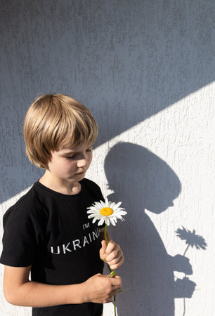 Boy in black T-shirt with inscription I am Ukrainian with chamomile flower in hand and his shadow on white wall. dramatic portrait of child. concept of soul and body, good and evil. light and shadowの写真素材
