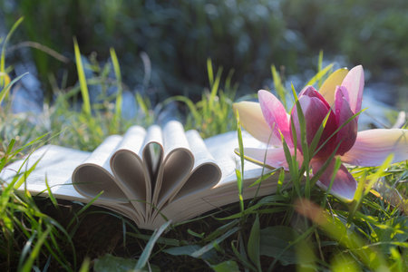 Open book lying on the grass. Pages folded in the shape of hearts, large pink lotus flower nearby. Concept of reading, education, wisdom and knowledge. Digital detox. Book day.の写真素材