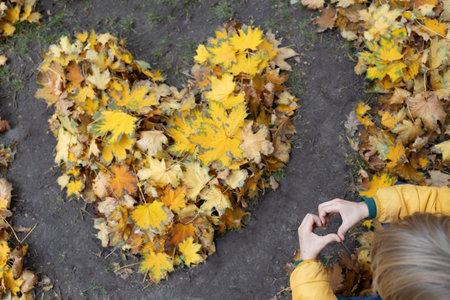 Autumn dreamy mood. Top view of a heart made of fallen yellow-brown leaves and a child's hands...