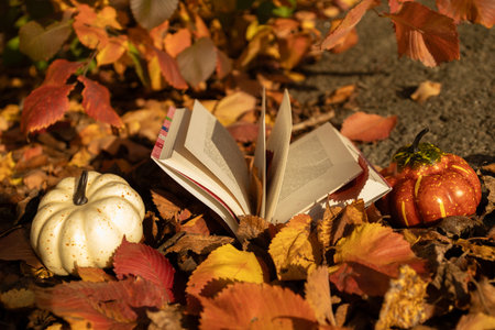 Hello, autumn. A seasonal atmospheric photo. An open book on red-orange leaves on a sunny day. Pleasant solitude, self-education it's a pleasure. Simple human joys. Enjoy every dayの写真素材
