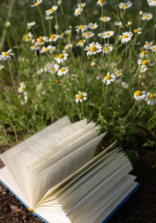 An open book on a sunny day in a chamomile meadow. Concept of relaxation, digital detox. Favorite hobby - reading.の写真素材