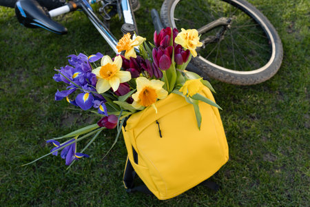 bicycle, a bright yellow backpack with a bouquet of spring flowers on the grass. A gift of flowers, congratulations with love. Positive thinking, active walks.の写真素材