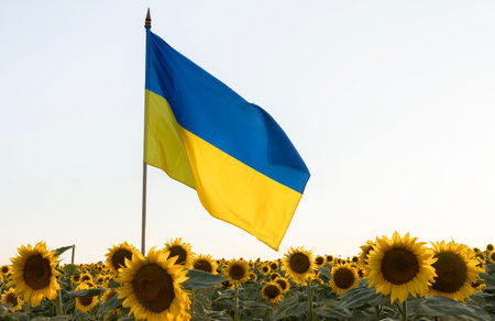large yellow and blue flag over a beautiful blooming field of sunflowers. Pride, a symbol of the country, patriotism.の写真素材