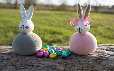 Easter bunnies with colorful chocolate eggs on a green grass background on a sunny day. Happy Easter cardの写真素材