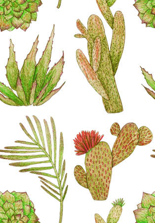 decorative seamless pattern with cacti and succulents on white background. Illustration for posters, cards, t-shirts.の写真素材