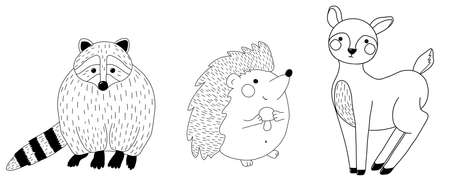 A set of outline forest animals: racoon, deer, hedgehogの写真素材