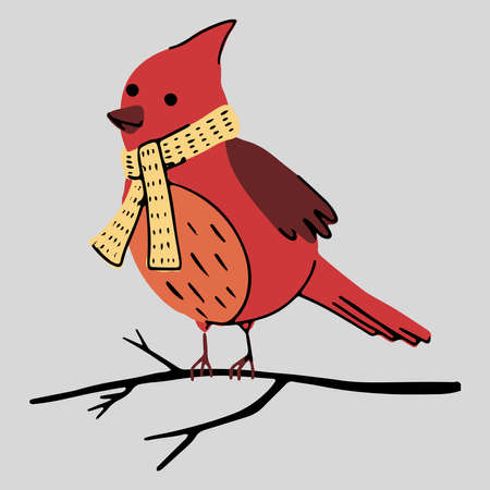 PrintChristmas cute winter character. Red cardinal bird vector illustration. Perfect for xmas cards, posters, print, wrap paper and souvenir decorの写真素材