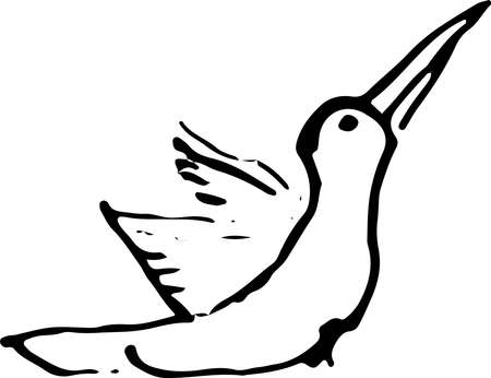 Ink hand drawn bird sketch. Vector outline illusytationのイラスト素材